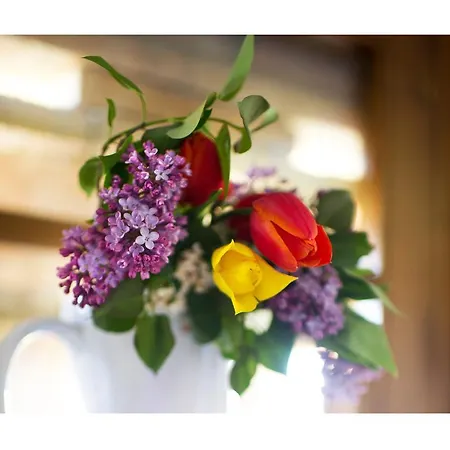 Bauernhof Agriturismo Andreini Corsano (Tuscany)