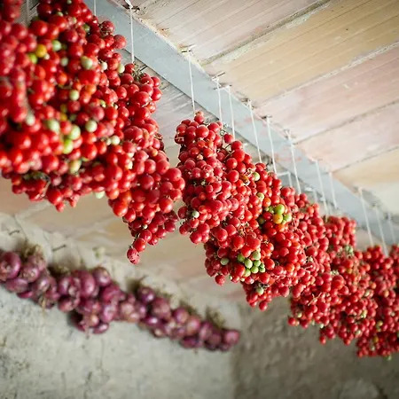 Bauernhof Agriturismo Andreini