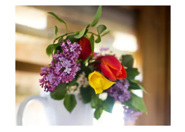 مزرعة للإقامة Agriturismo Andreini Corsano (Tuscany)