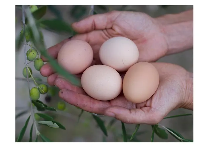 مزرعة للإقامة Agriturismo Andreini *