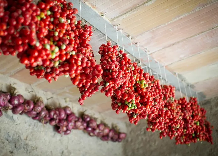 مزرعة للإقامة Agriturismo Andreini