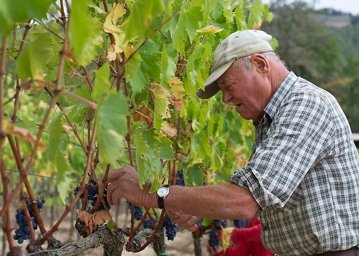 Agriturismo Andreini Corsano (Tuscany)