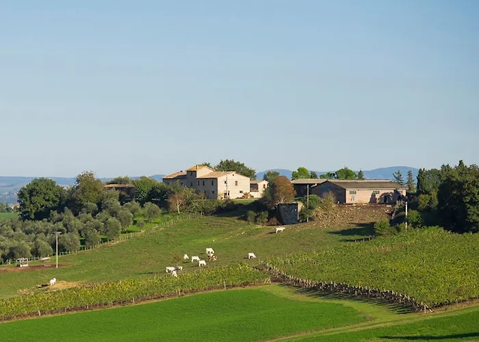 Agriturismo Andreini Corsano (Tuscany)